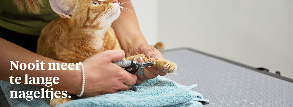 Nagelknipservice voor jouw kat - € 6.95 Nagelknipservice voor jouw kat - € 6.95